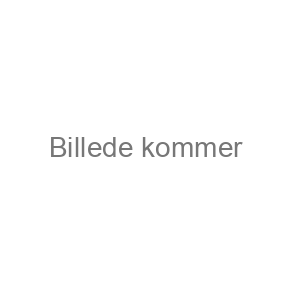 Sko