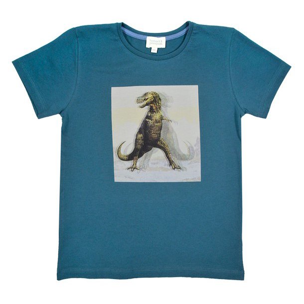 Dino t-shirt_S15